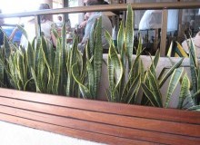 Kwikfynd Indoor Planting
humevale