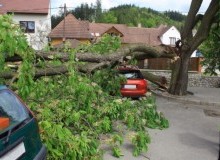Kwikfynd Tree Cutting Services
humevale